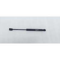 Амортизатор капота Land Rover Evoque L538 2012 LR025400, BJ3216C826AA