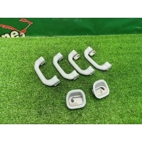 Ручки потолочные Mercedes-Benz C S203 2001 A2038100451