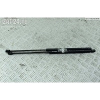 Амортизатор крышки (двери) багажника Renault Scenic I (1996-2003) 2003 7700434465