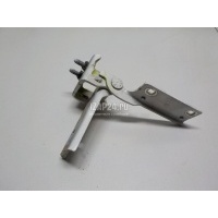 Петля двери багажника Citroen-Peugeot 407 (2004 - 2010) 861396