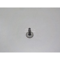 Втулка (кузов внутри) Mercedes Benz W164 M-Klasse (ML) (2005 - 2011) 0009922250