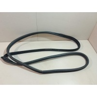 Уплотнитель двери Hyundai-Kia RIO (2005 - 2011) 821101G001