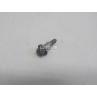 Болт Renault Laguna II (2001 - 2008) 8200668704