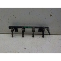 Рампа топливная Renault Sandero 2009- 8200494284