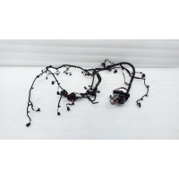 Проводка двигателя Land Rover Range Rover Evoque L538 2012 LR033045, BJ3212B637AD