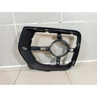 Кронштейн фары противотуманной левой BMW X6 E71 51117181009