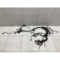 Проводка (коса) BMW 5-serie F10/F11 (2009 - 2016) 12518513255