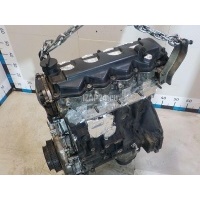 Двигатель Nissan Navara (D40) (2005 - 2015) 10102EC00A