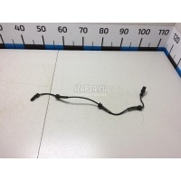 Датчик ABS передний Renault Scenic II (2003 - 2009) 8200446282
