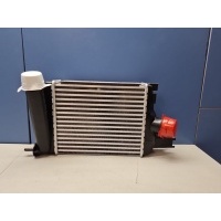 Интеркулер Renault Duster 2010- 144967634R