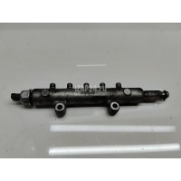 Рейка топливная (рампа) Mitsubishi Pajero/Montero IV (V8, V9) (2007 - 2021) 1465A034