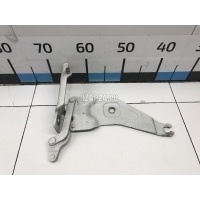 Петля капота левая BMW X5 E70 (2007 - 2013) 41007198617