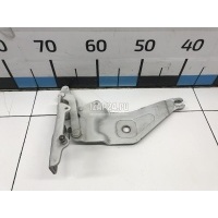 Петля капота правая BMW X5 E70 (2007 - 2013) 41007198618