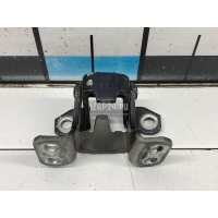 Петля двери багажника Suzuki Grand Vitara (2005 - 2015) 6951065J00