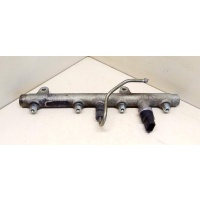 топливная рампа Renault Megane 2002 0445214015,7700111013,BOSCH
