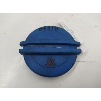 Пробка расширительного бачка Skoda Fabia 2 (2007-2010) 2010 3B0121321
