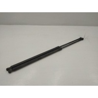 Амортизатор крышки багажника (3-5 двери) Renault Scenic III (2009-2012) 2011 904517337R