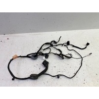 Проводка двери Land Rover Range Rover Evoque L538 2012-2018 LR028675