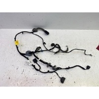 Проводка двери Land Rover Range Rover Evoque 1 2012-2018 LR028677