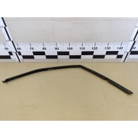 Уплотнитель стекла двери Chevrolet Lacetti 2003-2013 96548209