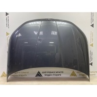 Капот Skoda Kodiaq 1 NS7 до Рестайлинг 2016-2022 565823031A