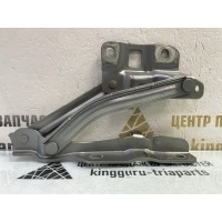 Петля капота Omoda C5 T19C 2022-2024 553000321AA