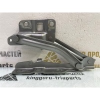 Петля капота Omoda C5 T19C 2022-2024 553000320AA