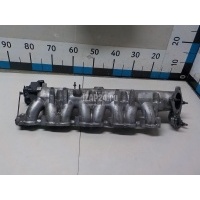 Коллектор впускной Hyundai-Kia Carnival (2005 - 2014) 283104X900