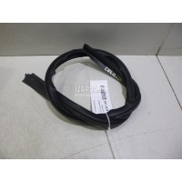 Уплотнитель (внутри) Ford Focus II (2008 - 2011) 1340035