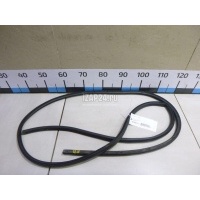 Уплотнитель двери Ford Focus II (2008 - 2011) 1495866
