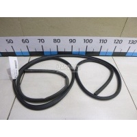 Уплотнитель двери Ford Focus II (2008 - 2011) 1495865