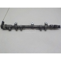 Рейка топливная (рампа) Hyundai-Kia Carnival (2005 - 2014) 314002F000