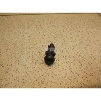 Крепеж (клоп) Citroen-Peugeot 308 I (2007 - 2015) 699218
