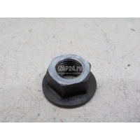 Гайка VAG Tiguan (2007 - 2011) N10169201