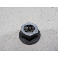 Гайка VAG Tiguan (2007 - 2011) N10169201