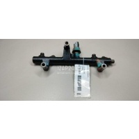 Рейка топливная (рампа) Ford Kuga (2008 - 2012) 1841279