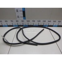 Уплотнитель двери Ford Kuga (2008 - 2012) 1494013