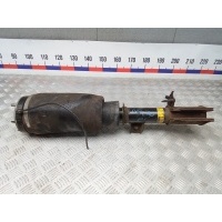 Стойка передняя левая LAND ROVER RANGE ROVER (2006-2011) 2006 RNB501270, LR051702