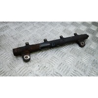 Топливная рампа дизельная LAND ROVER RANGE ROVER SPORT (2006-2012) 2007 LR005055