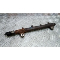 Топливная рампа дизельная LAND ROVER RANGE ROVER SPORT (2006-2012) 2007 LR005056