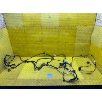 Проводка двери Renault Duster HJD 2021 241631989S