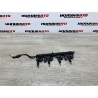 Рампа топливная Peugeot 207 2007 198552, 198552, 198548, V757564580, V754181680