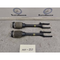 Передний пневмоамортизатор Mercedes X164 Mercedes X164 GL 2006-2012 A1643204513