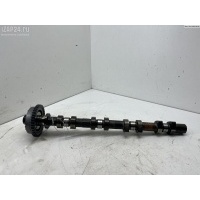 Распредвал Nissan Primera P12 (2002-2008) 2002 130019F640