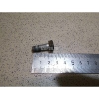 Болт суппорта VAG Tiguan (2007 - 2011) N01024124