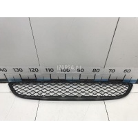 Решетка в бампер центральная BMW X6 E71 (2008 - 2014) 51117176282
