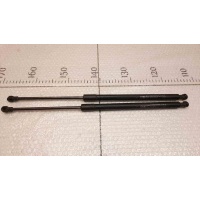 Амортизатор крышки багажника к-кт C100 2006-2010	Opel Antara 96984466