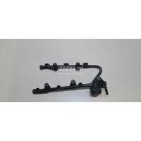 Рейка топливная (рампа) Toyota Sienna III (2010 - 2020) 238700P011