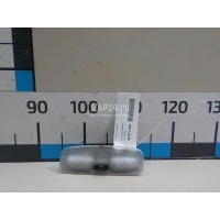 Плафон салонный Ford Focus USA (2004 - 2007) 4704788