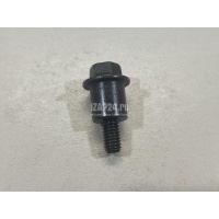 Болт Hyundai-Kia Carens (2006 - 2012) 2434825000